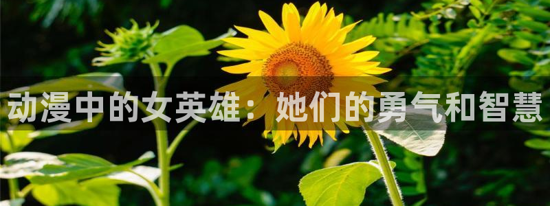 动漫屋app下载安装：动漫中的女英雄：她们的勇气和智慧