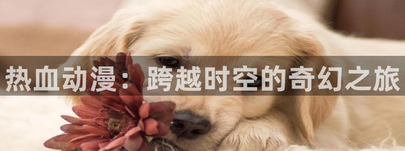动漫屋网址：热血动漫：跨越时空的奇幻之旅