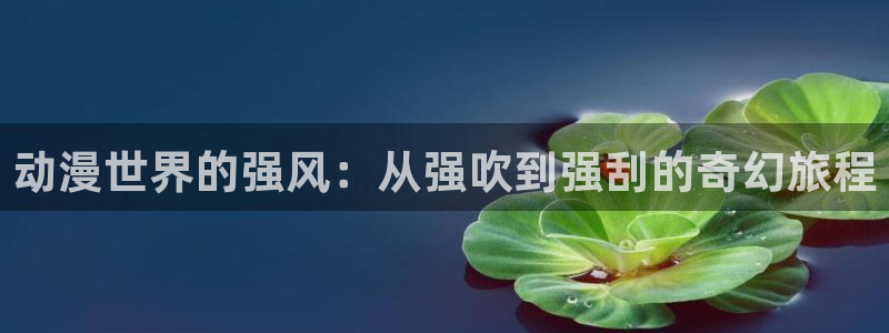 人偶动漫屋：动漫世界的强风：从强吹到强刮的奇幻旅程