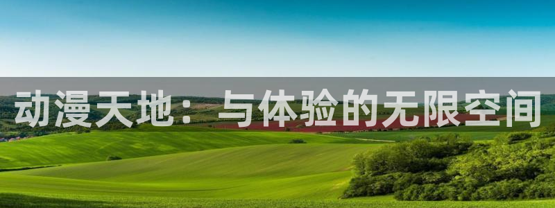 海贼王漫画动漫屋：动漫天地：与体验的无限空间